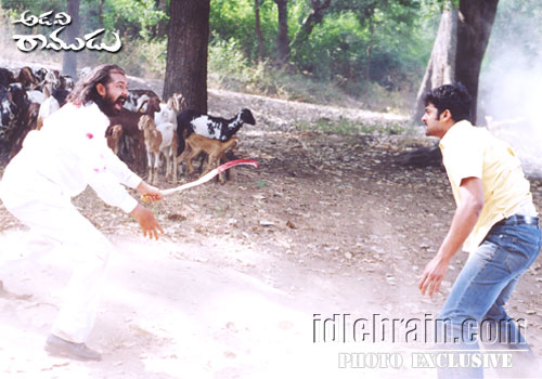 adaviramudu