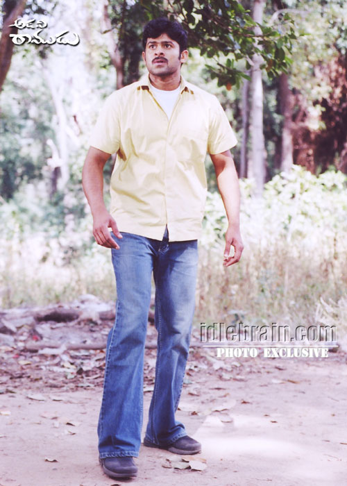 adaviramudu