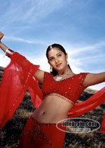 sindhu tolani