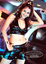 sindhu tolani