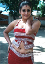 nenu puttindi nee kosame