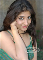 srikrishna 2006