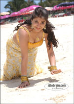 srikrishna 2006