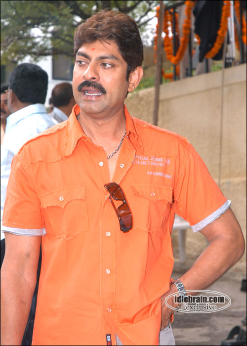 pellaina kothalo