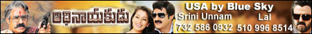 Adhinayakudu