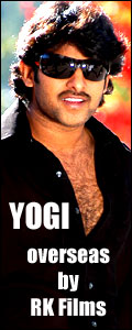 Yogi