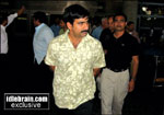 chiru